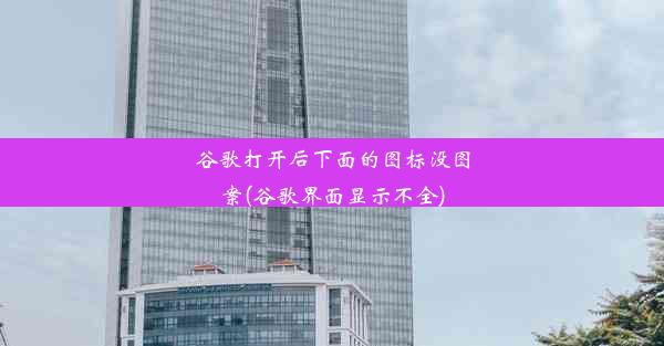 谷歌打开后下面的图标没图案(谷歌界面显示不全)