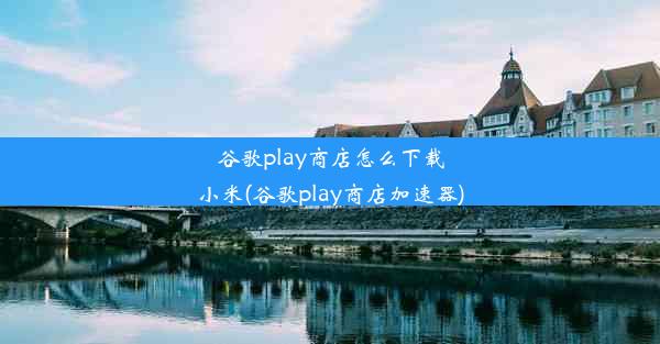 谷歌play商店怎么下载小米(谷歌play商店加速器)