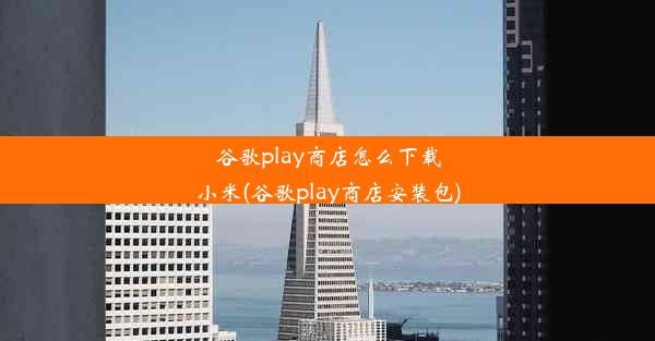 谷歌play商店怎么下载小米(谷歌play商店安装包)