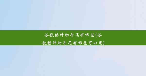 谷歌插件助手还有哪些(谷歌插件助手还有哪些可以用)