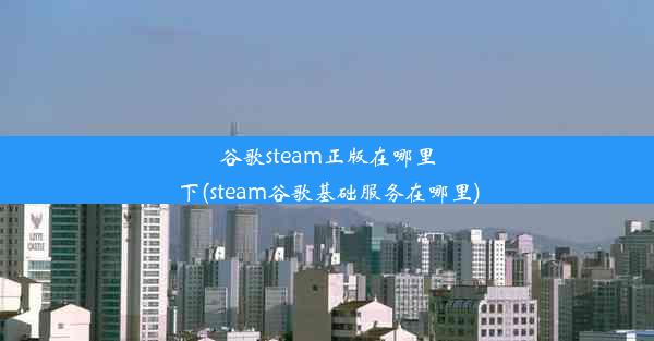 谷歌steam正版在哪里下(steam谷歌基础服务在哪里)