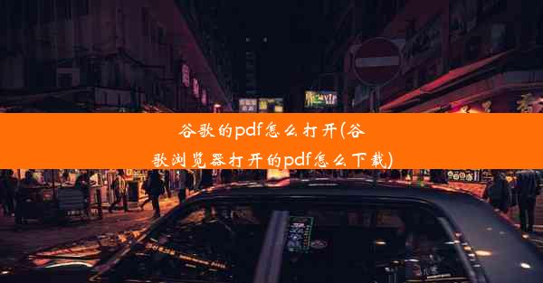 谷歌的pdf怎么打开(谷歌浏览器打开的pdf怎么下载)