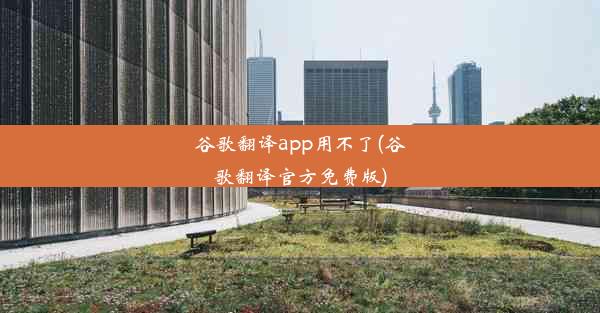 谷歌翻译app用不了(谷歌翻译官方免费版)