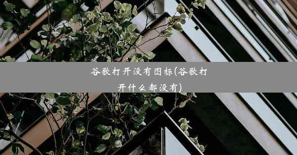 谷歌打开没有图标(谷歌打开什么都没有)