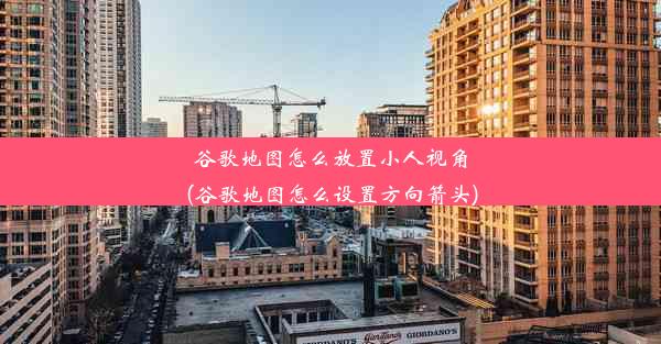 谷歌地图怎么放置小人视角(谷歌地图怎么设置方向箭头)