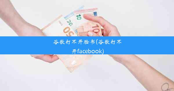 谷歌打不开脸书(谷歌打不开facebook)