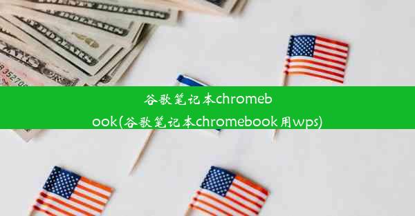 谷歌笔记本chromebook(谷歌笔记本chromebook用wps)