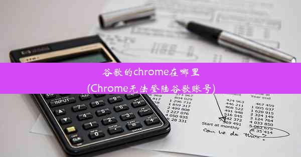 谷歌的chrome在哪里(Chrome无法登陆谷歌账号)