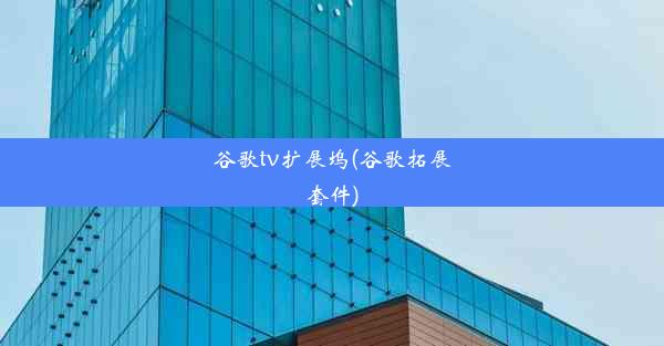 谷歌tv扩展坞(谷歌拓展套件)