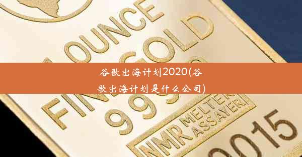 谷歌出海计划2020(谷歌出海计划是什么公司)