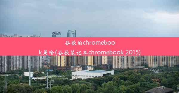 谷歌的chromebook是啥(谷歌笔记本chromebook 2015)