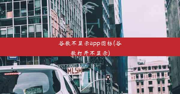 谷歌不显示app图标(谷歌打开不显示)