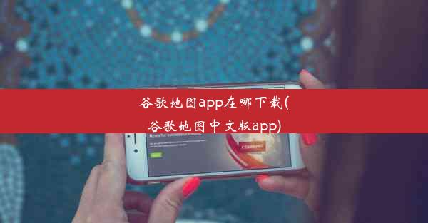 谷歌地图app在哪下载(谷歌地图中文版app)