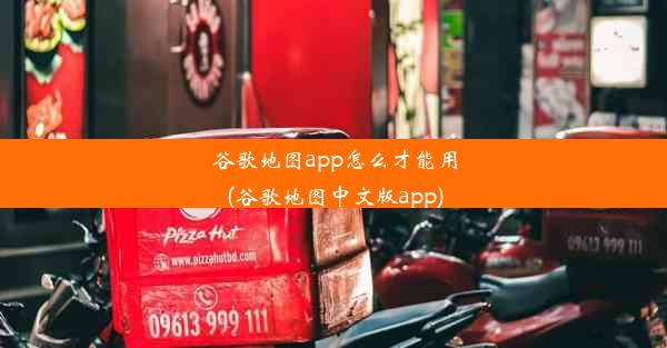 谷歌地图app怎么才能用(谷歌地图中文版app)