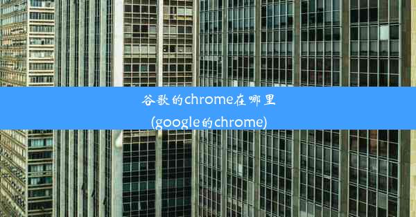 谷歌的chrome在哪里(google的chrome)