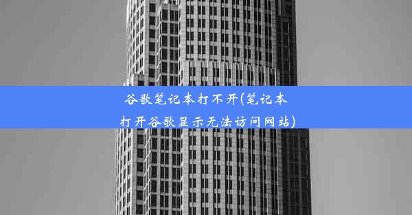 谷歌笔记本打不开(笔记本打开谷歌显示无法访问网站)