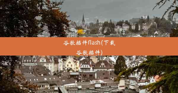 谷歌插件flash(下载谷歌插件)