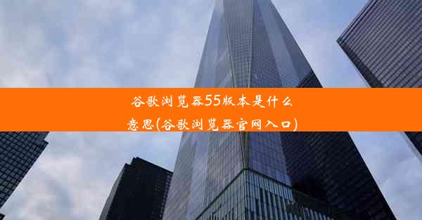 谷歌浏览器55版本是什么意思(谷歌浏览器官网入口)