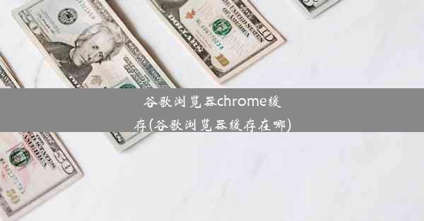 谷歌浏览器chrome缓存(谷歌浏览器缓存在哪)