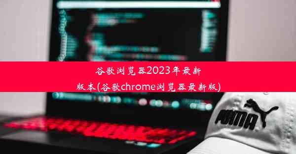 谷歌浏览器2023年最新版本(谷歌chrome浏览器最新版)