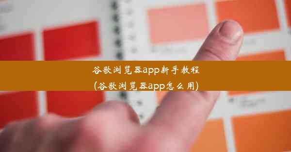 谷歌浏览器app新手教程(谷歌浏览器app怎么用)