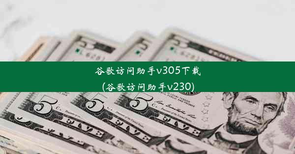 谷歌访问助手v305下载(谷歌访问助手v230)