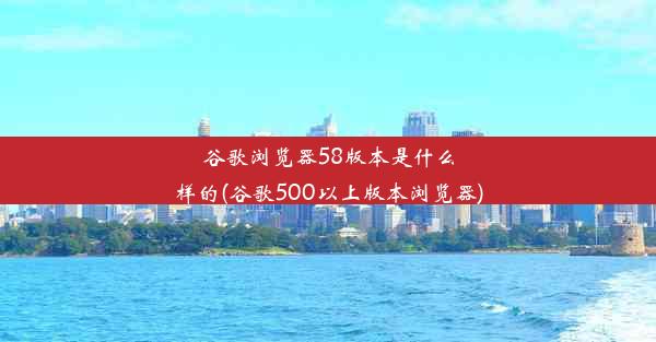 谷歌浏览器58版本是什么样的(谷歌500以上版本浏览器)