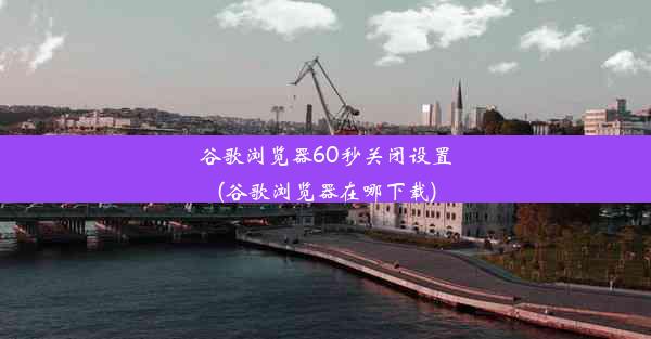 谷歌浏览器60秒关闭设置(谷歌浏览器在哪下载)