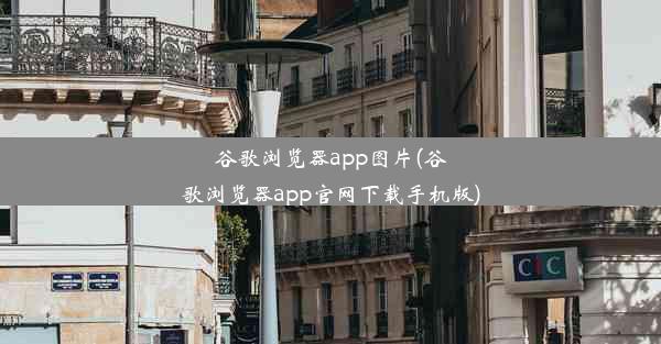 谷歌浏览器app图片(谷歌浏览器app官网下载手机版)