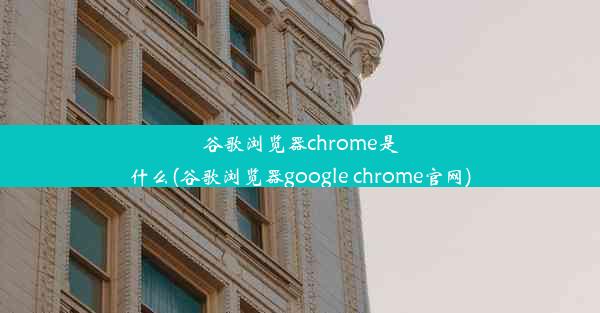 谷歌浏览器chrome是什么(谷歌浏览器google chrome官网)