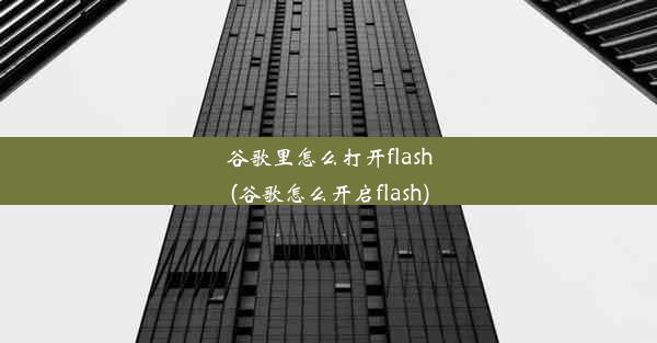 谷歌里怎么打开flash(谷歌怎么开启flash)