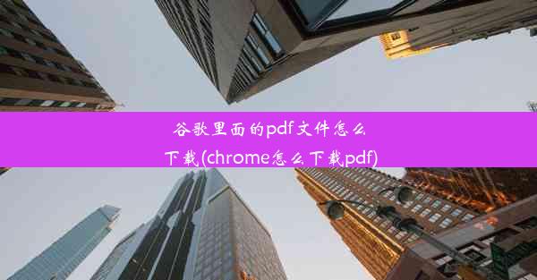 谷歌里面的pdf文件怎么下载(chrome怎么下载pdf)