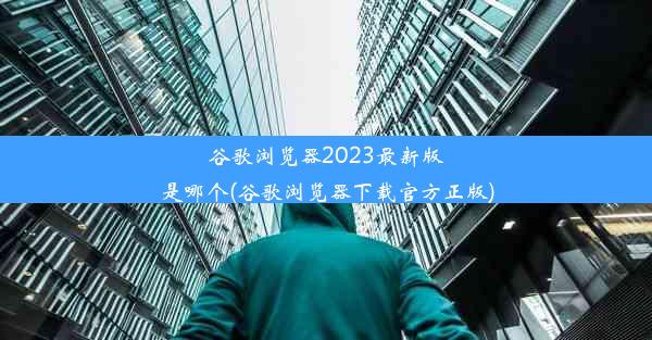 谷歌浏览器2023最新版是哪个(谷歌浏览器下载官方正版)