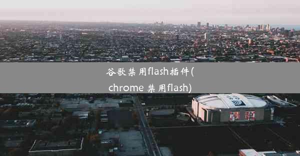 谷歌禁用flash插件(chrome 禁用flash)