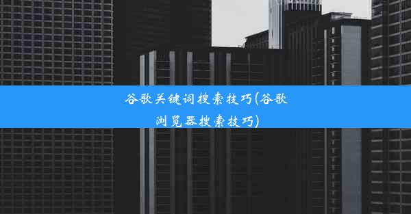 谷歌关键词搜索技巧(谷歌浏览器搜索技巧)