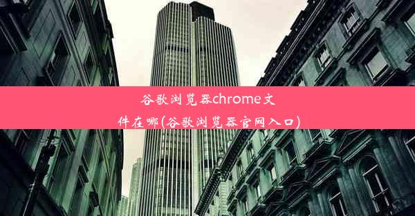 谷歌浏览器chrome文件在哪(谷歌浏览器官网入口)