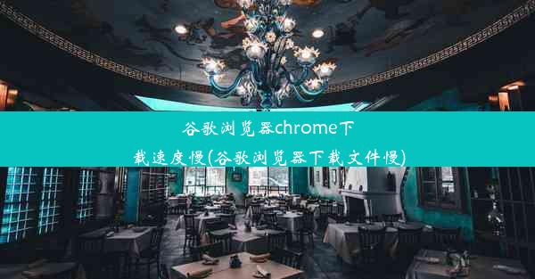 谷歌浏览器chrome下载速度慢(谷歌浏览器下载文件慢)