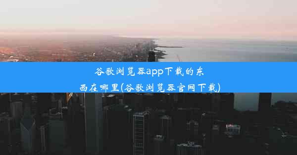 谷歌浏览器app下载的东西在哪里(谷歌浏览器官网下载)