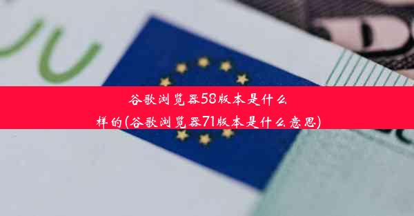 谷歌浏览器58版本是什么样的(谷歌浏览器71版本是什么意思)