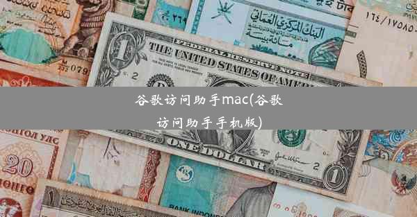 谷歌访问助手mac(谷歌访问助手手机版)