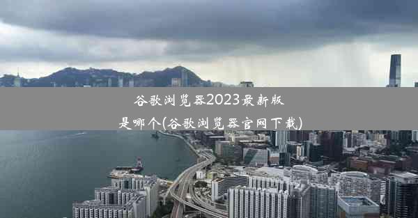 谷歌浏览器2023最新版是哪个(谷歌浏览器官网下载)