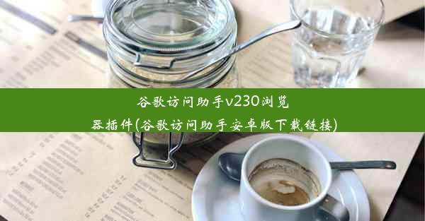 谷歌访问助手v230浏览器插件(谷歌访问助手安卓版下载链接)