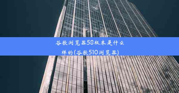 谷歌浏览器58版本是什么样的(谷歌510浏览器)