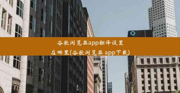 谷歌浏览器app翻译设置在哪里(谷歌浏览器 app下载)