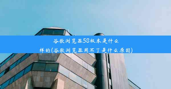 谷歌浏览器58版本是什么样的(谷歌浏览器用不了是什么原因)