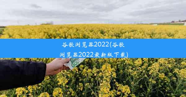 谷歌浏览器2022(谷歌浏览器2022最新版下载)