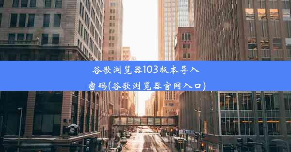 谷歌浏览器103版本导入密码(谷歌浏览器官网入口)