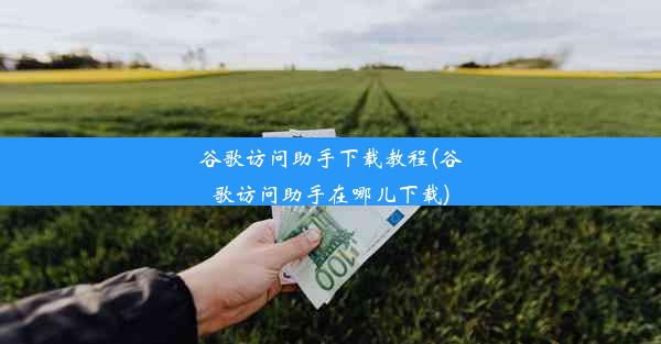 谷歌访问助手下载教程(谷歌访问助手在哪儿下载)