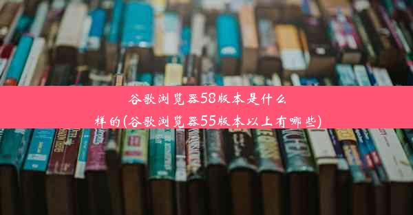 谷歌浏览器58版本是什么样的(谷歌浏览器55版本以上有哪些)