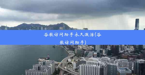 谷歌访问助手永久激活(谷歌访问助手)